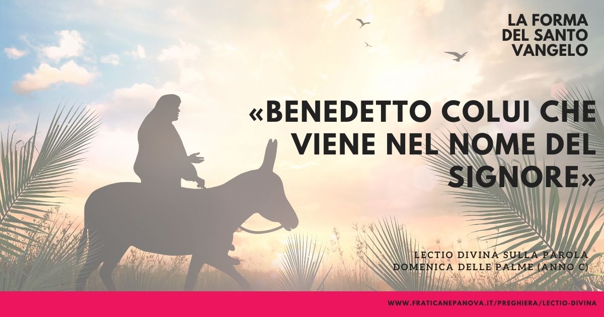 Il Ramo Con Foglie Intrecciate Che Viene Benedetto Benedetto colui che viene nel nome del Signore